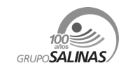 005 grupo salinas